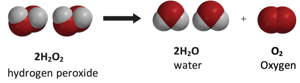 decomposition of hydrogen peroxide