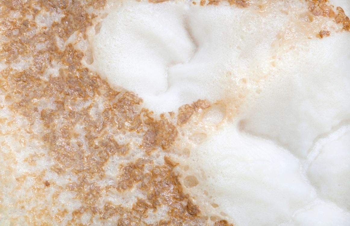 foam in Fermentation