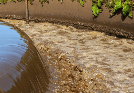 sludge concentration measurement