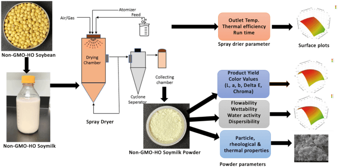 soy milk powder production